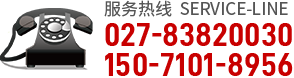 武漢發(fā)電機(jī)租賃公司電話(huà)